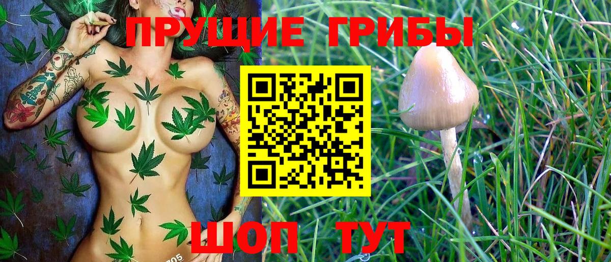 Самара  Псилоцибиновые грибы мухоморы  Вход с VPN 