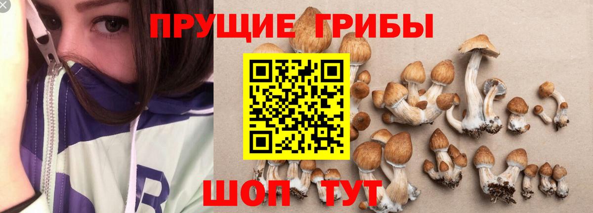 Галлюциногенные грибы Magic Shrooms Самара